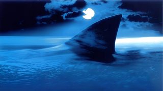 Shark Attack still 3