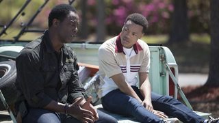 Blackbird still 1