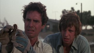 Bug still 6