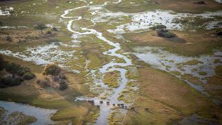 Into the Okavango still 5