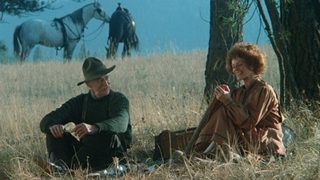 The Grey Fox still 5