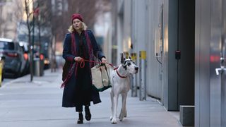 The Friend still 6