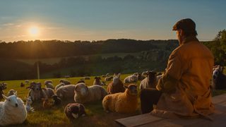 The Sheep Detectives still 8