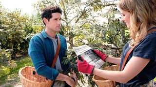 Love Under the Olive Tree still 3