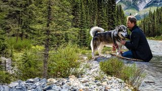 Hero Dog: The Journey Home still 2