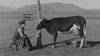 Go West still 1