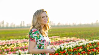Tulips in Spring still 7