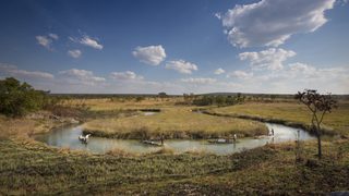 Into the Okavango still 1