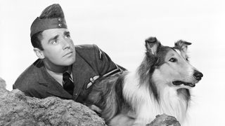 Son of Lassie still 1