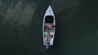 Toxic Shark still 4