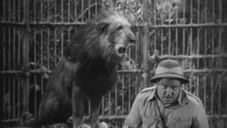 Africa Screams still 2