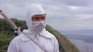 Enter the Ninja still 2