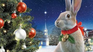 The Christmas Bunny still 2