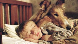 Lassie still 3
