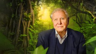 David Attenborough: A Life on Our Planet still 5