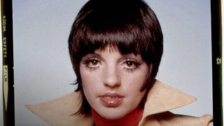 Liza: A Truly Terrific Absolutely True Story still 5