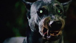 Devil Dog: The Hound of Hell still 3