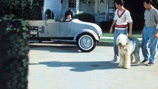 The Shaggy Dog still 2