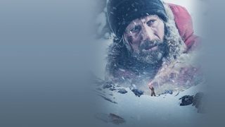 Arctic still 5