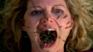 Infested still 2