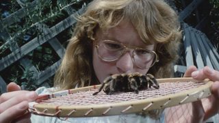 Tarantulas: The Deadly Cargo still 1