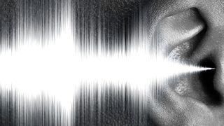 In Pursuit of Silence still 1