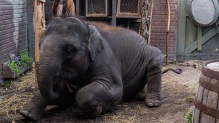 Zoo still 2