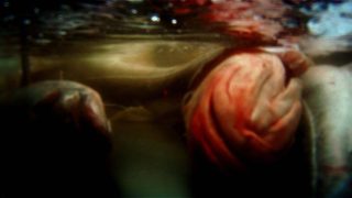 Leviathan still 4
