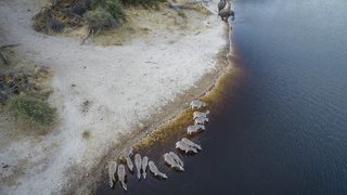 Into the Okavango still 4