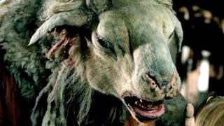 Black Sheep still 7