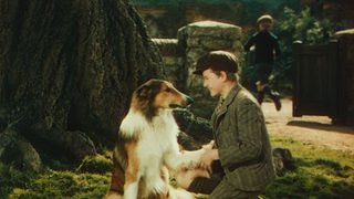 Lassie Come Home still 6