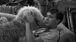 The Shaggy Dog still 6