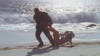 Scarecrow Gone Wild still 2