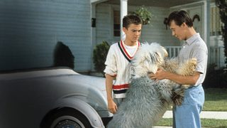 The Shaggy Dog still 3