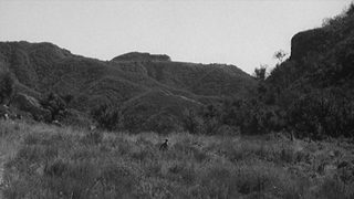War Hunt still 2