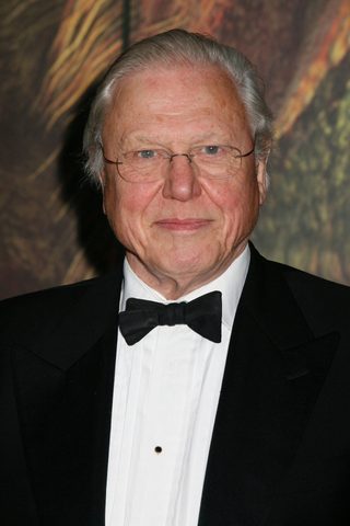 David Attenborough, photo 3 of 3