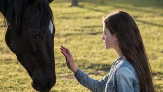 Black Beauty still 4