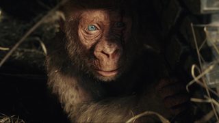 Rampage still 5