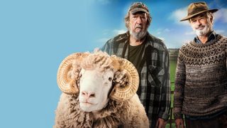 Rams still 6