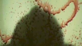 Offerings still 7