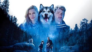 Hero Dog: The Journey Home still 1