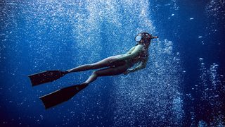 The Reef: Stalked still 6