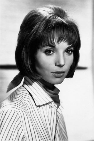 Elsa Martinelli, photo 3 of 3
