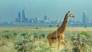 Breaking Boundaries: The Science of Our Planet still 1