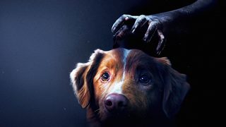 Good Boy still 6