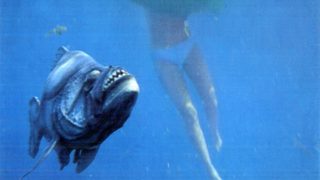 Piranha still 3