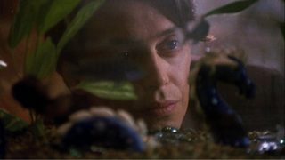 Ed and His Dead Mother still 2