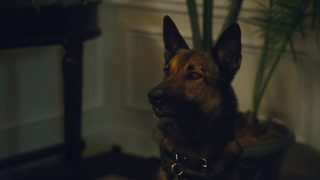 Max 2: White House Hero still 1