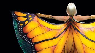 The Butterfly Tree still 2