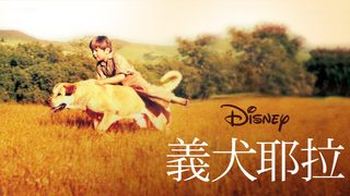 Old Yeller still 3